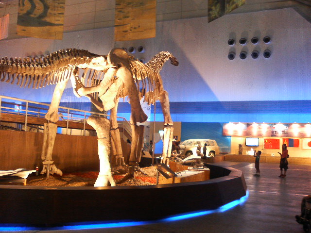 恐竜大陸 展!!_e0046190_17113925.jpg