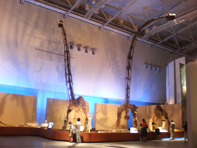 恐竜大陸 展!!_e0046190_17115645.jpg
