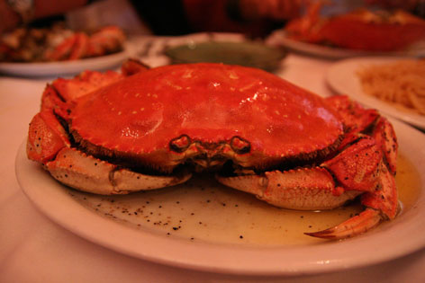 a0062203_8374971.jpg