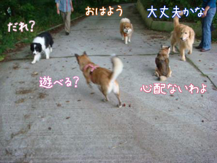 痛くても_f0064906_17534762.jpg