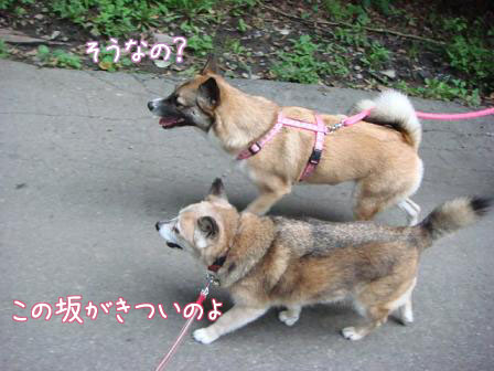 痛くても_f0064906_17564741.jpg