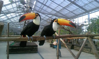 f0108606_20102317.jpg