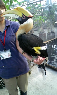 f0108606_2010510.jpg