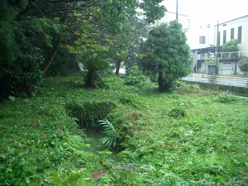 田宿川 井出緑地の草刈り_f0141310_2327131.jpg