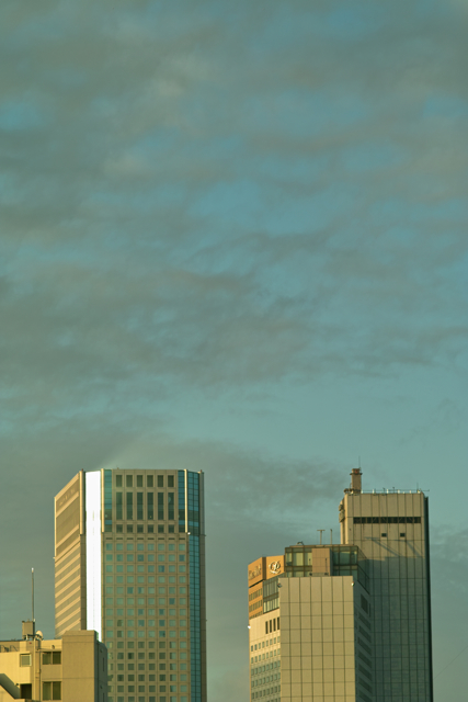b0137311_8453121.jpg