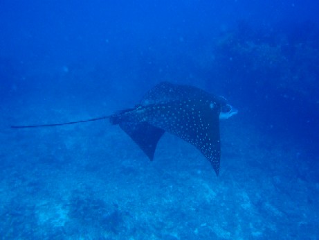 f0043911_12522.jpg