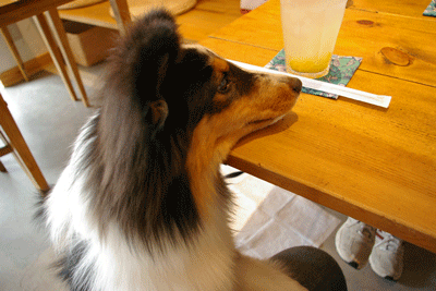 b0075318_234852.gif