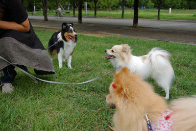 b0075318_23584821.gif