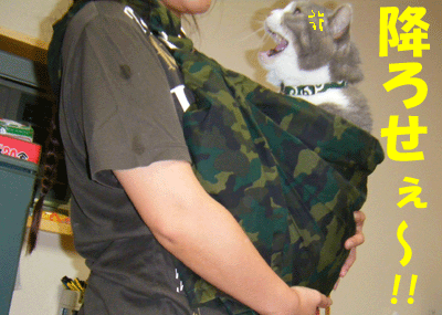 f0008935_23121383.gif