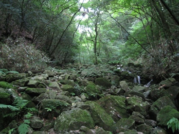 c0077338_7405.jpg