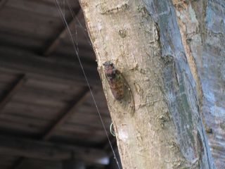 f0065341_12873.jpg