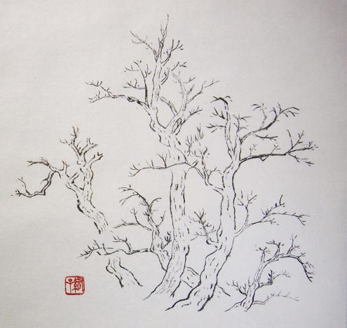 芥子園画伝 樹法 一日一畫 日本画家池上紘子