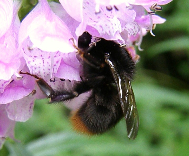 e0064158_13037.jpg