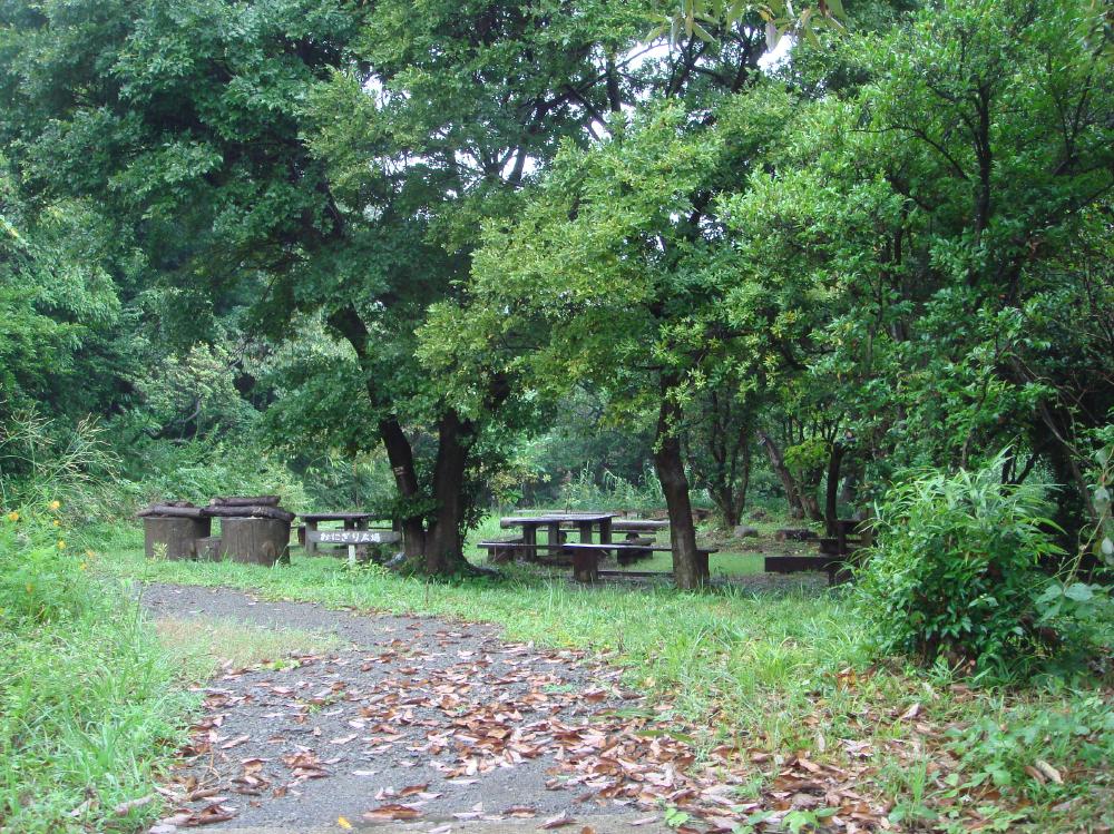 「泉佐野丘陵緑地」運営計画案概要説明 in せんなん里海公園潮騒ビバレー会議室_c0108460_1442680.jpg
