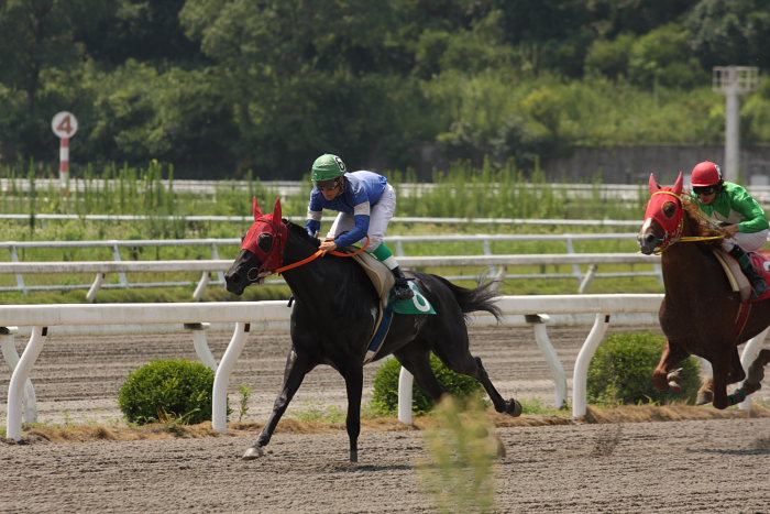 2008年8月24日（日） 高知競馬 1R_a0077663_18404257.jpg
