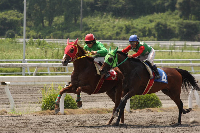 2008年8月24日（日） 高知競馬 1R_a0077663_18404942.jpg