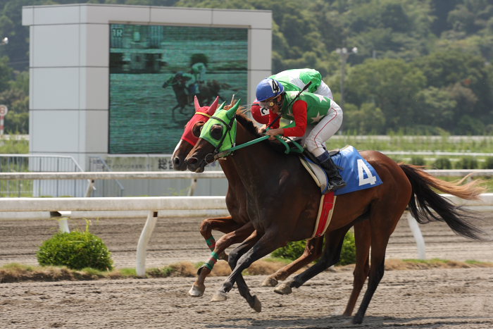 2008年8月24日（日） 高知競馬 1R_a0077663_18411642.jpg