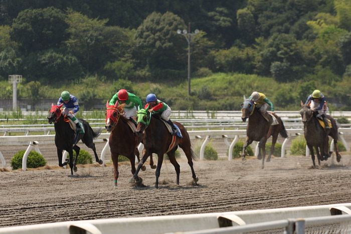 2008年8月24日（日） 高知競馬 1R_a0077663_1841618.jpg