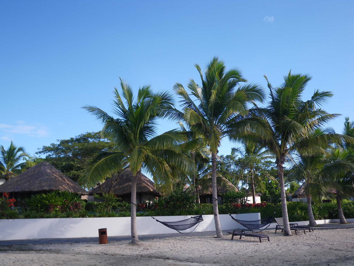f0157268_20361130.jpg