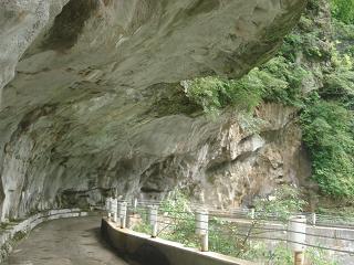 f0050473_1192696.jpg
