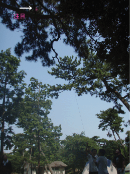 c0154879_19161677.gif
