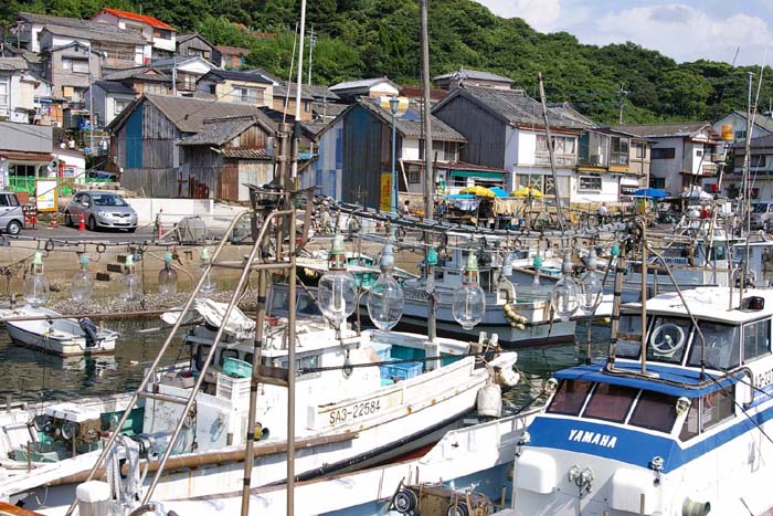 いか釣り船_f0130879_23175828.jpg