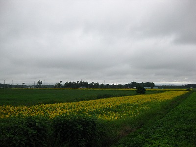 b0003280_23505428.jpg