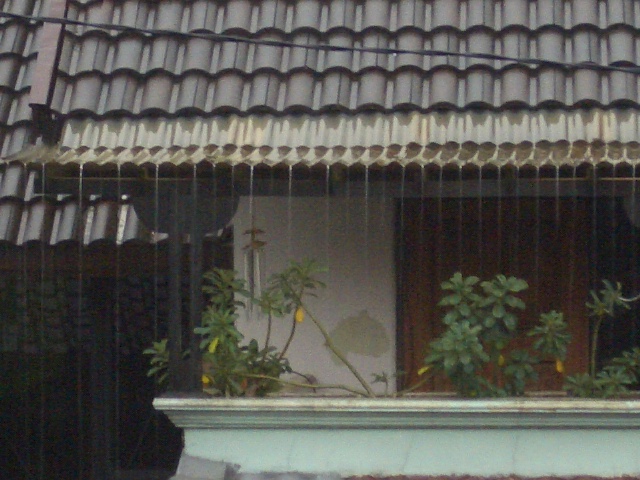 c0175883_18535870.jpg
