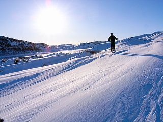 蜂の巣山スキーツアー_e0064783_143773.jpg