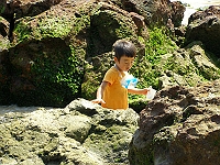 b0018986_23295575.jpg