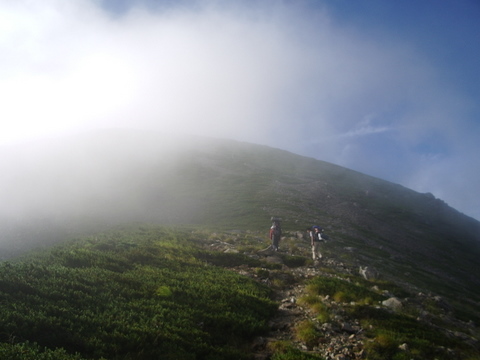 南アルプス登山　その8　百間洞山の家～聖平小屋_b0118097_2272095.jpg