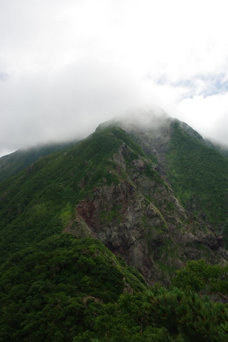 南アルプス登山　その8　百間洞山の家～聖平小屋_b0118097_242518.jpg