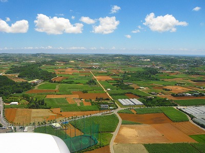 f0163298_94395.jpg