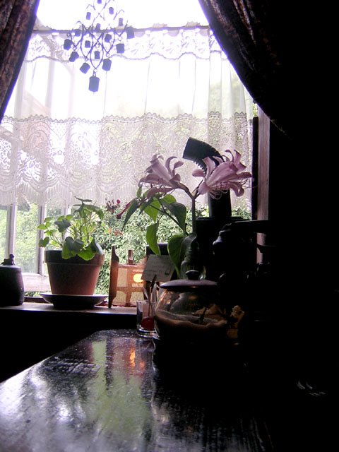d0088611_127966.jpg