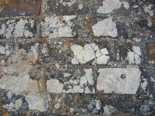 d0146612_17113022.jpg