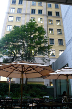 e0083517_0404744.jpg