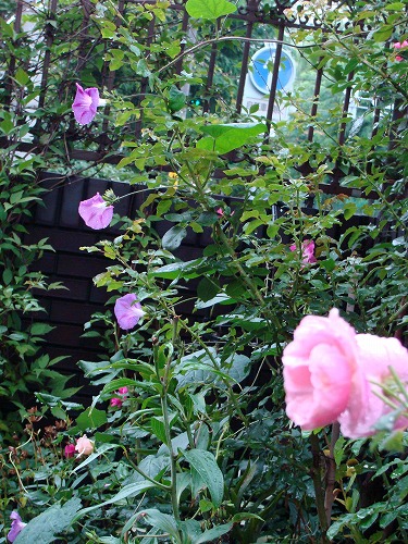 f0170524_1594221.jpg