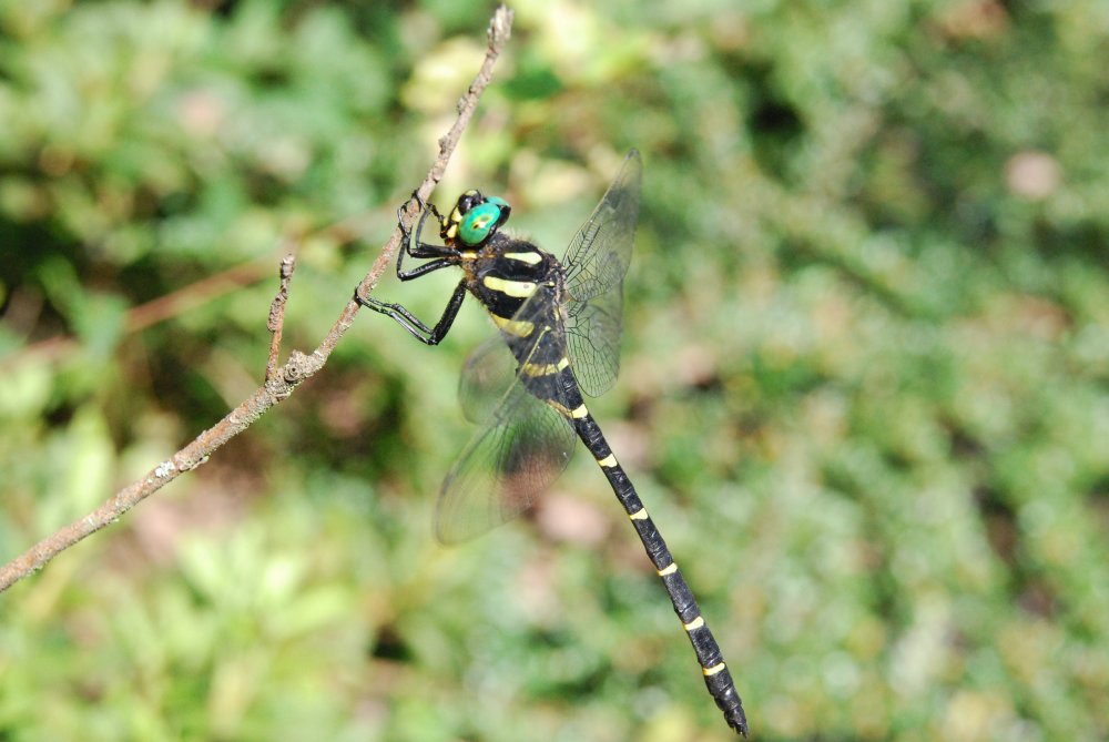 c0162128_814244.jpg