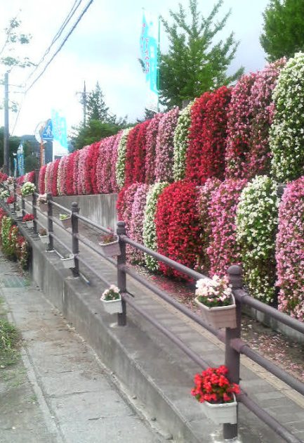 b0123736_224277.jpg