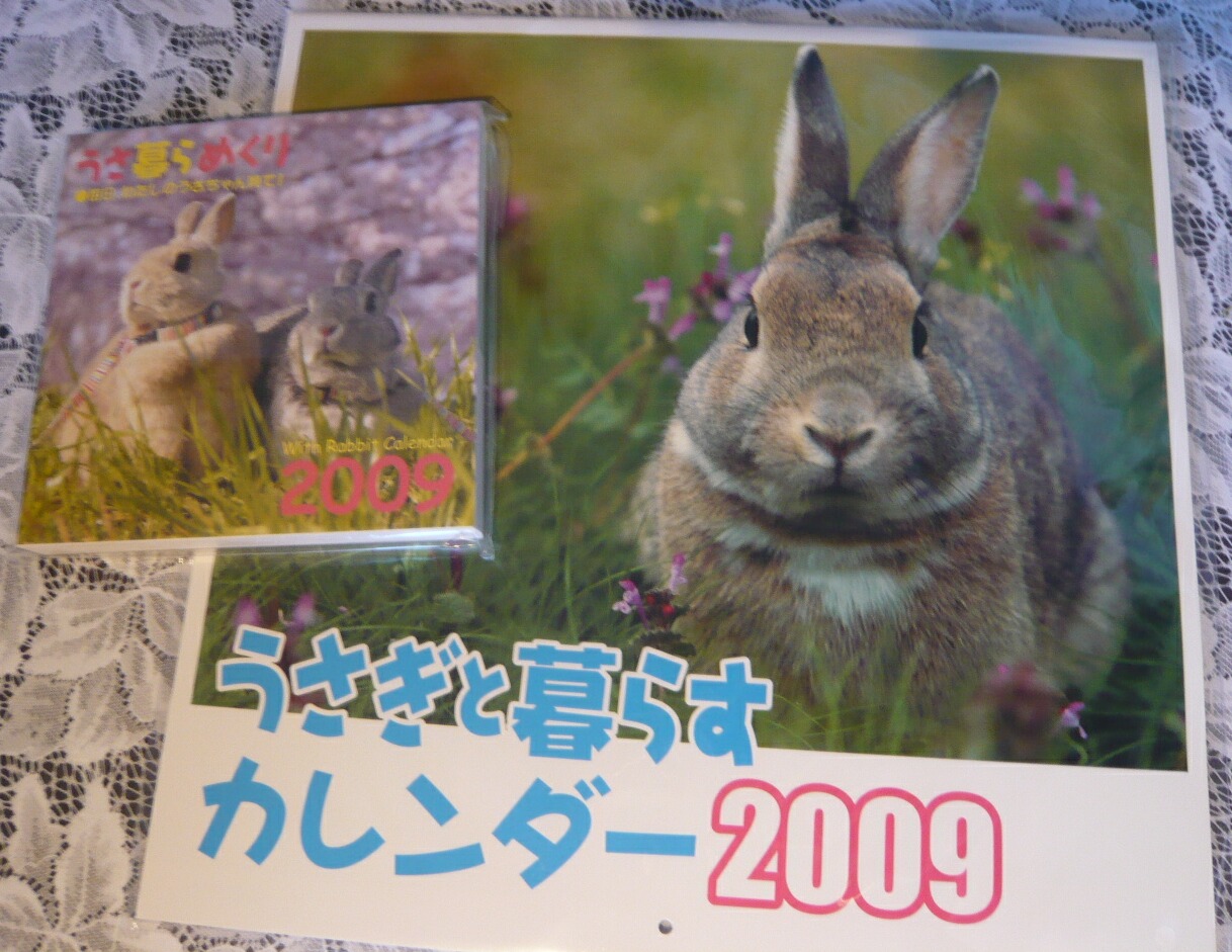 うさぎと暮らす 2009年カレンダーキタ O おてんばうさぎ ミミ ゆき とその仲間たち