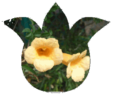 f0031546_9524446.gif