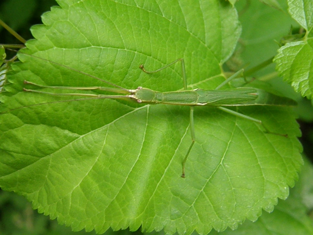 e0064158_12968.jpg