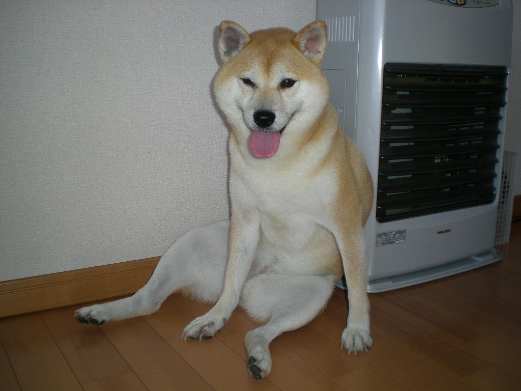 2008年8月29日(金)降ったり止んだり!_f0060461_19304194.jpg
