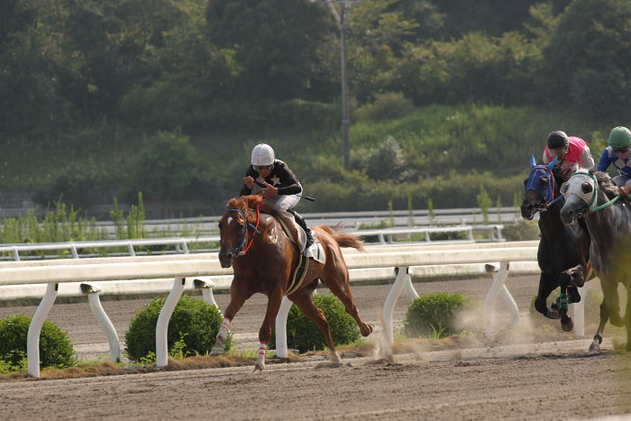 2008年8月24日（日） 高知競馬 7R_a0077663_19194663.jpg