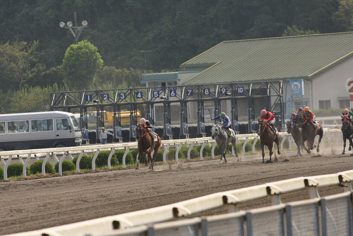 2008年8月24日（日） 高知競馬 7R_a0077663_1920515.jpg