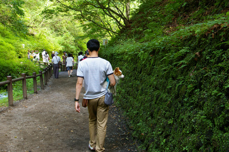 軽井沢旅行～その３～_e0122373_0313692.jpg