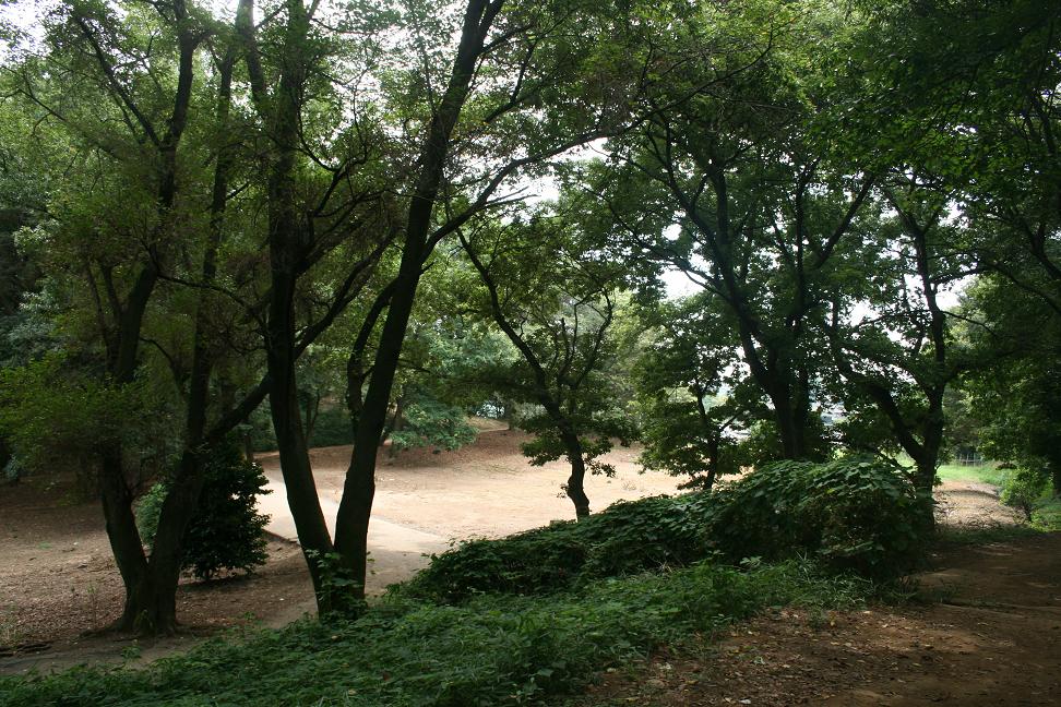 「警官の血」ロケ地 戦前の上野公園の交番 深谷のまちづくり その14_a0107574_2133418.jpg