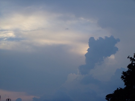 c0078480_194671.jpg
