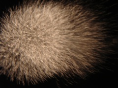 2008年8月28日 豪雨ばかり。といってサボった言い訳にはならない _b0098584_10235294.jpg