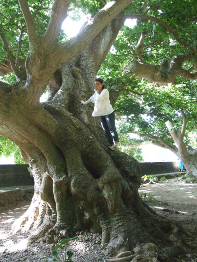 薩川にペンションがオープンするぞー!_e0028387_11032.jpg
